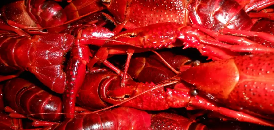 Red Lobster Meaning, Symbolism, and Totem Complete Guide