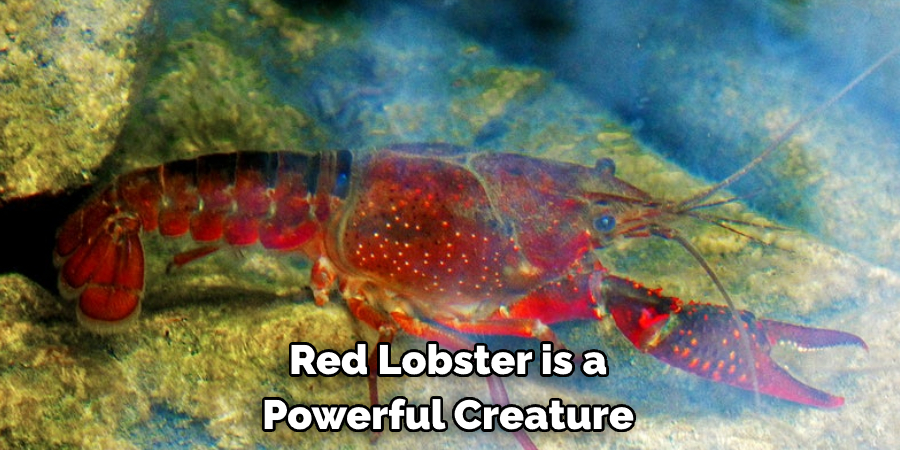 Red Lobster is a Powerful Creature