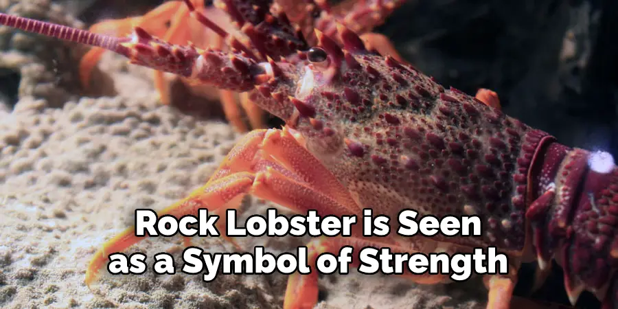 Rock Lobster is Seen  as a Symbol of Strength