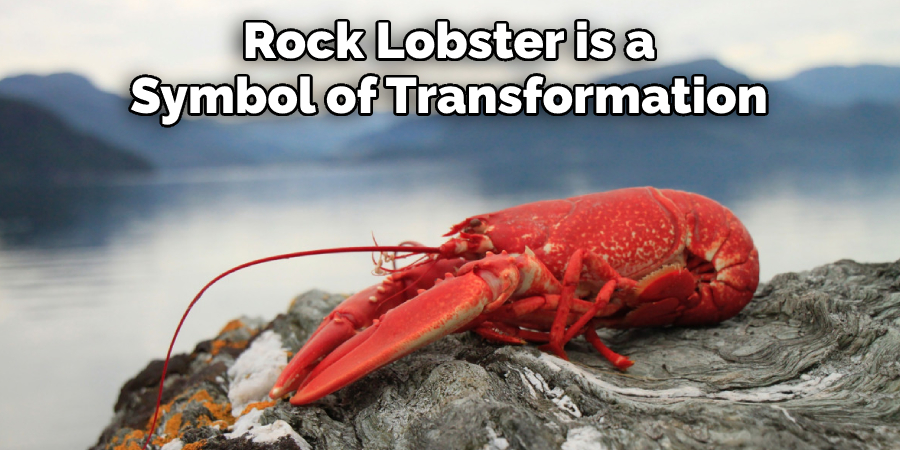 Rock Lobster is a  Symbol of Transformation