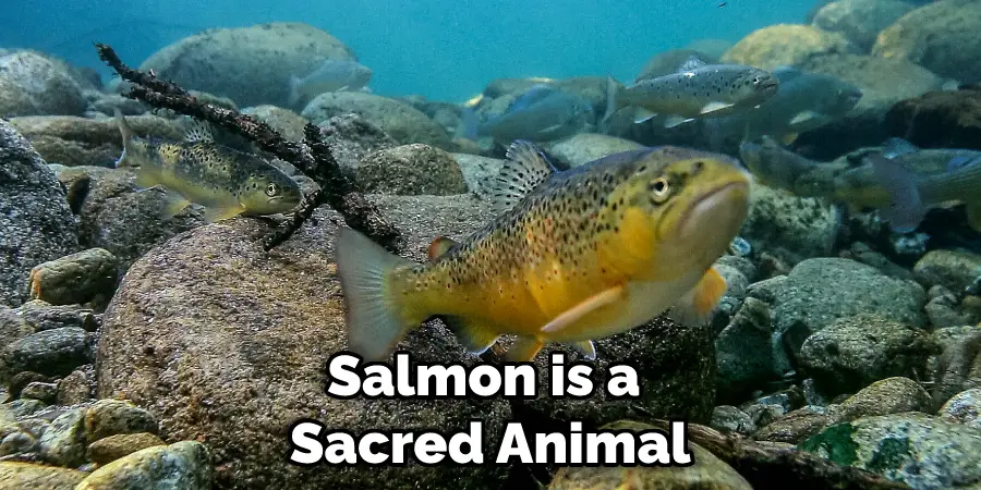 Salmon is a  Sacred Animal