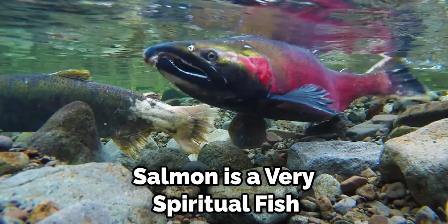 Salmon is a Very  Spiritual Fish