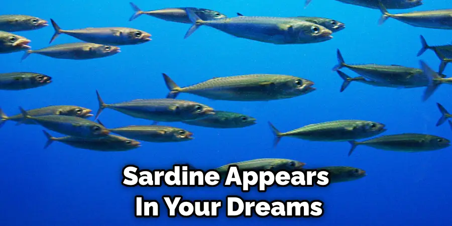 Sardine Appears  In Your Dreams