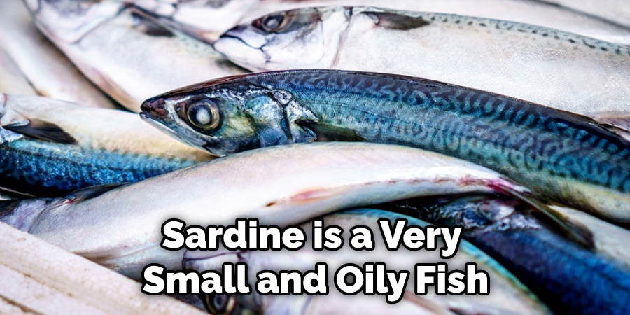 Sardine is a Very  Small and Oily Fish