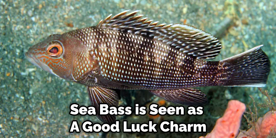 Sea Bass is Seen as  A Good Luck Charm