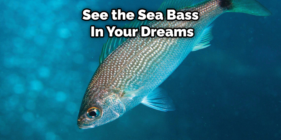 See the Sea Bass  In Your Dreams