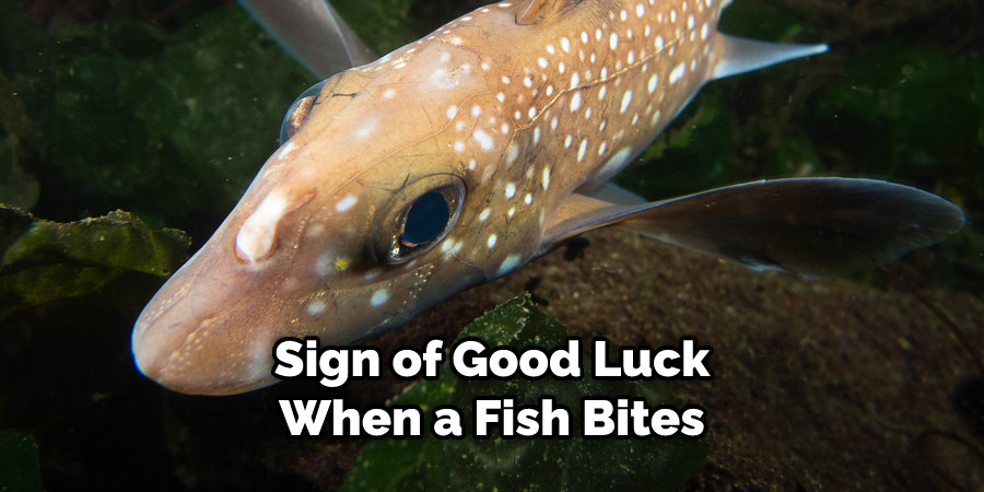 Sign of Good Luck  When a Fish Bites 