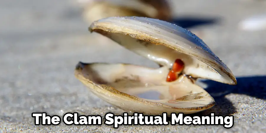 The Clam Spiritual Meaning