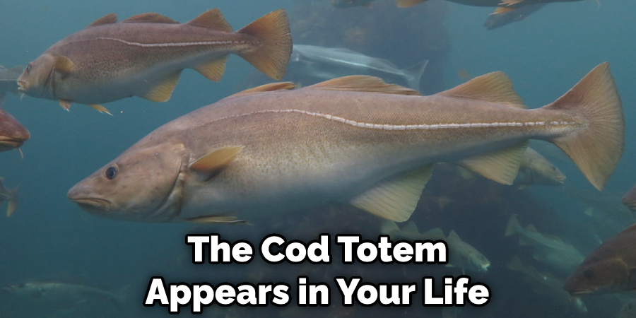 The Cod Totem Appears in Your Life