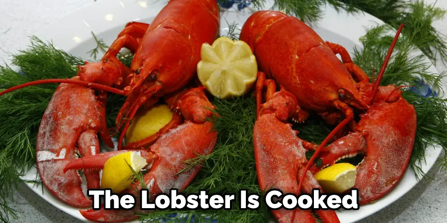 The Lobster Is Cooked