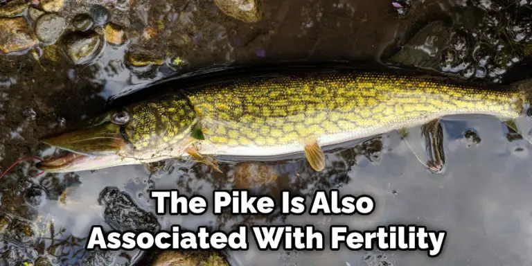 The Pike Is Also Associated With Fertility 768x384 