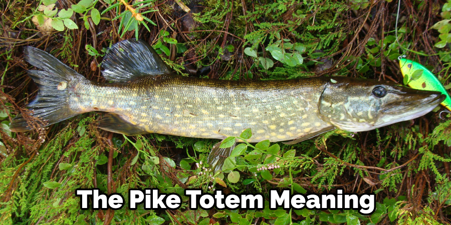 The Pike Totem Meaning