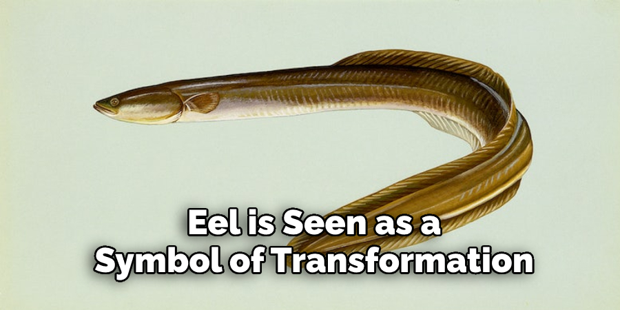 Eel is Seen as a  Symbol of Transformation