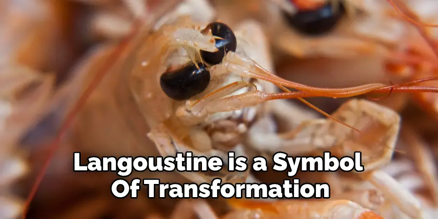 Langoustine is a Symbol  Of Transformation