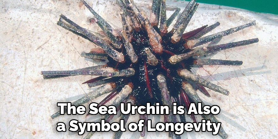 The Sea Urchin is Also a Symbol of Longevity
