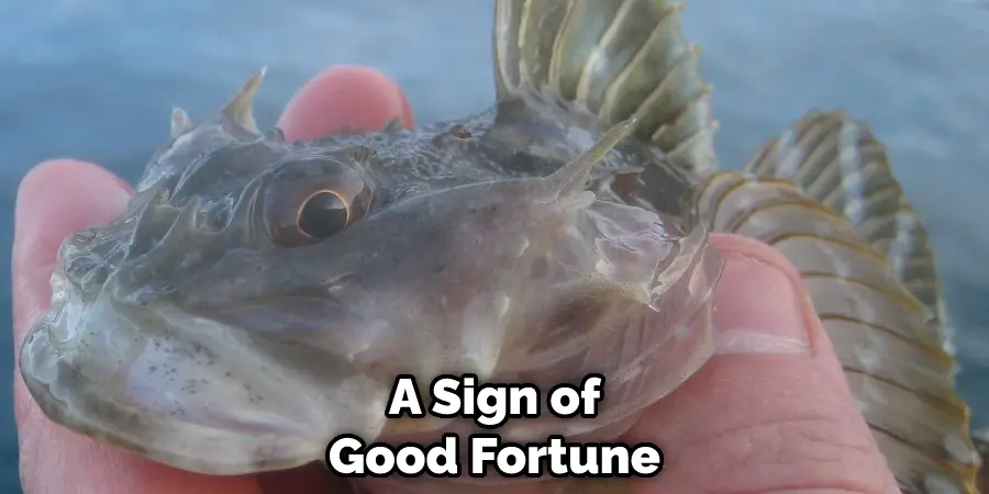 A Sign of Good Fortune