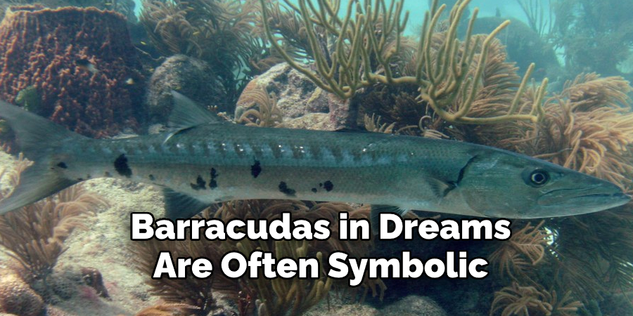 Barracudas in Dreams  Are Often Symbolic