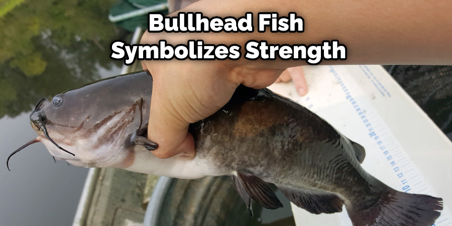 Bullhead Fish Symbolizes Strength