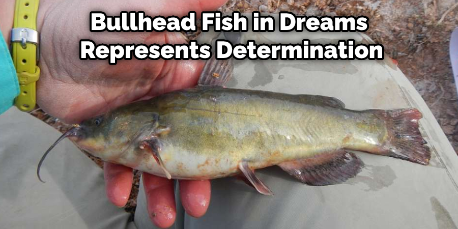 Bullhead Fish in Dreams Represents Determination