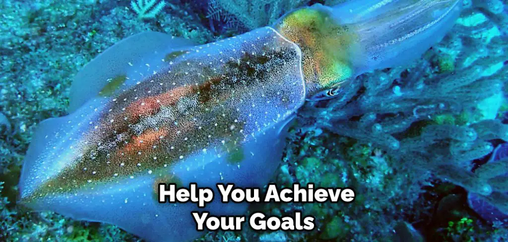  Help You Achieve Your Goals 