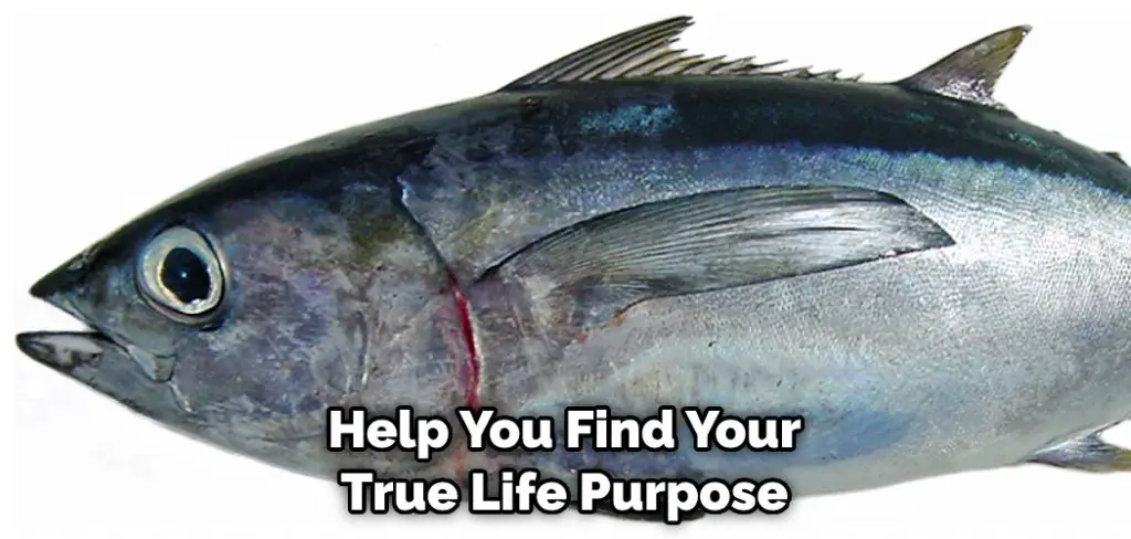 Help You Find Your True Life Purpose