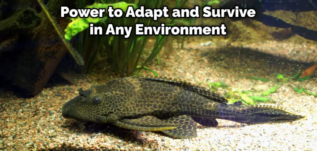  Power to Adapt and Survive in Any Environment
