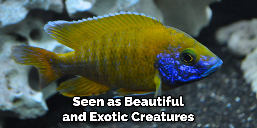 Seen as Beautiful and Exotic Creatures