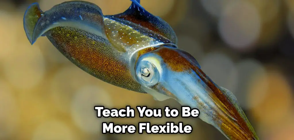 Teach You to Be More Flexible