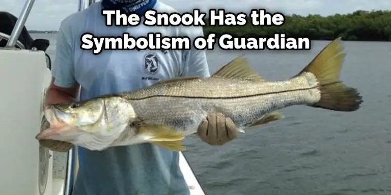 Snook Spiritual Meaning, Symbolism, and Totem | (2026)