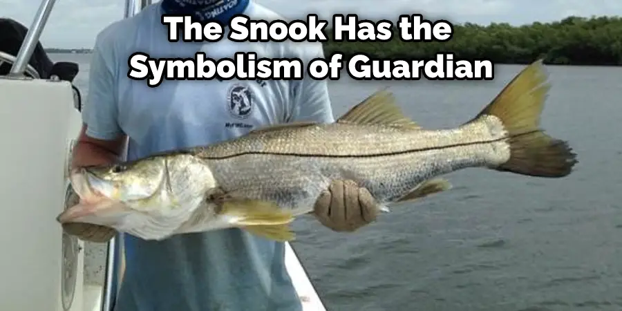 The Snook Has the Symbolism of Guardian