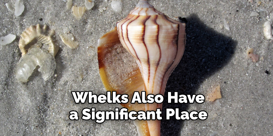 Whelks Also Have a Significant Place 