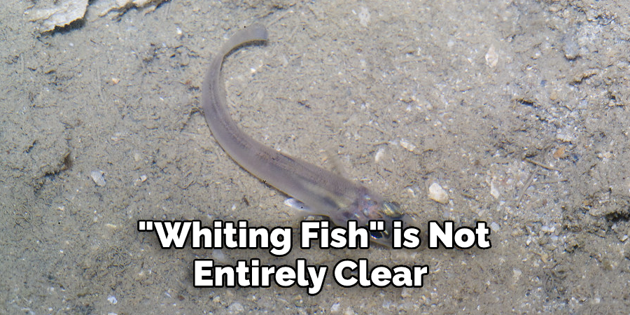 Whiting Fish is Not Entirely Clear