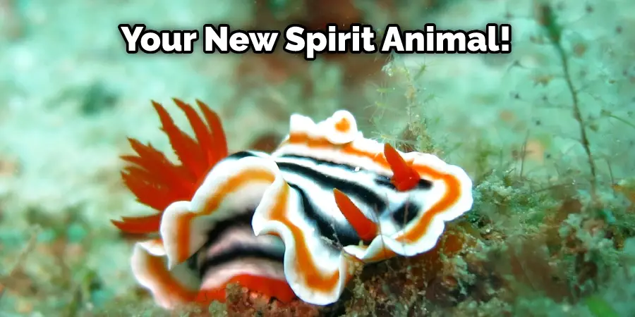 Your New Spirit Animal!