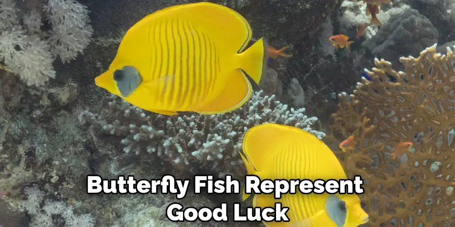 Butterfly Fish Represent Good Luck