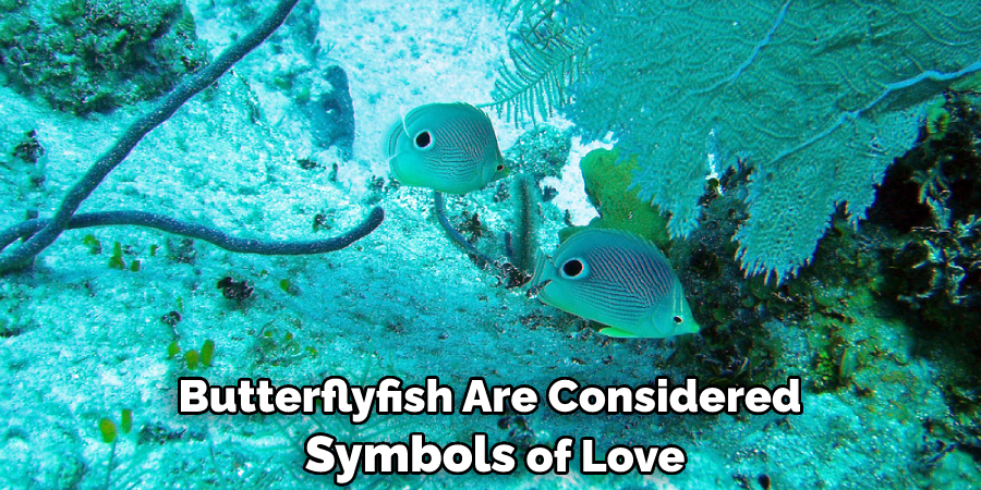 Butterflyfish Are Considered Symbols of Love