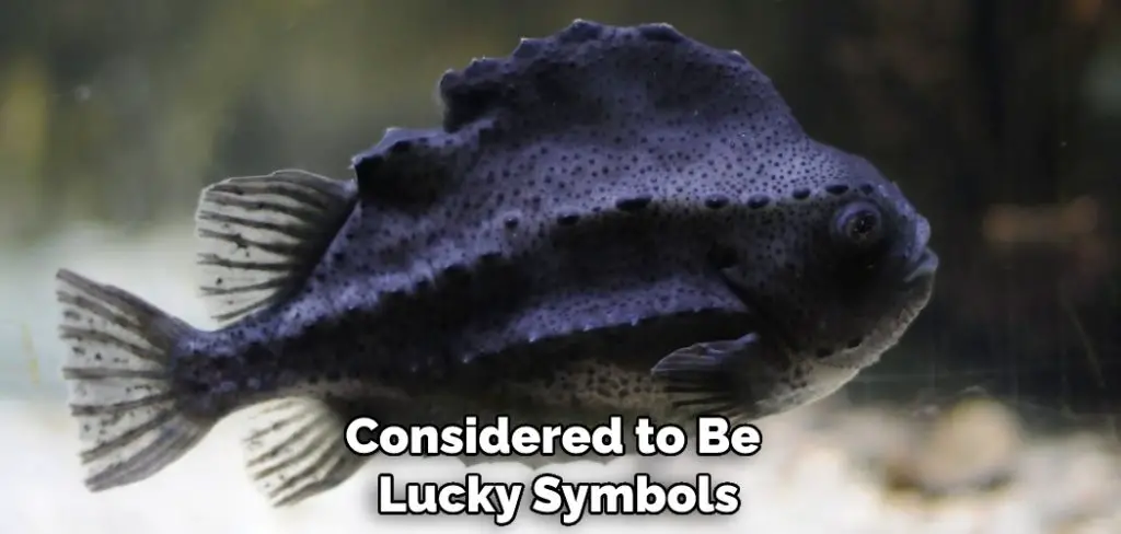 Considered to Be Lucky Symbols