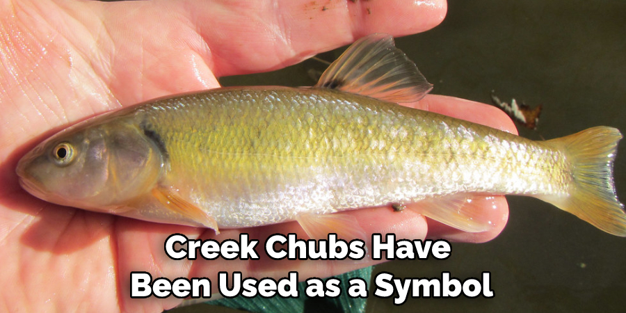 Creek Chubs Have Been Used as a Symbol