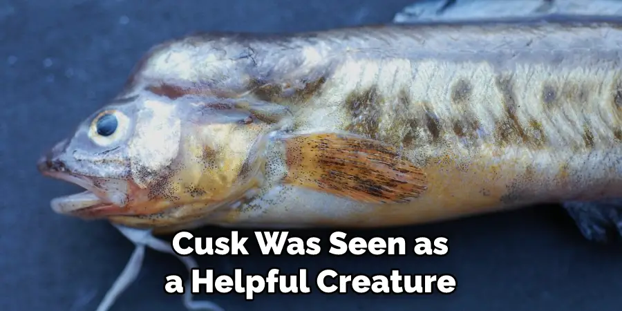 Cusk Was Seen as a Helpful Creature