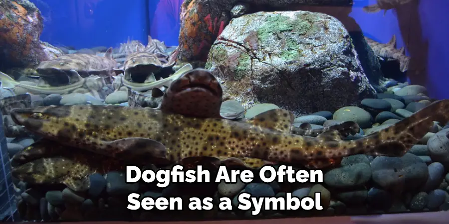 Dogfish Are Often Seen as a Symbol 