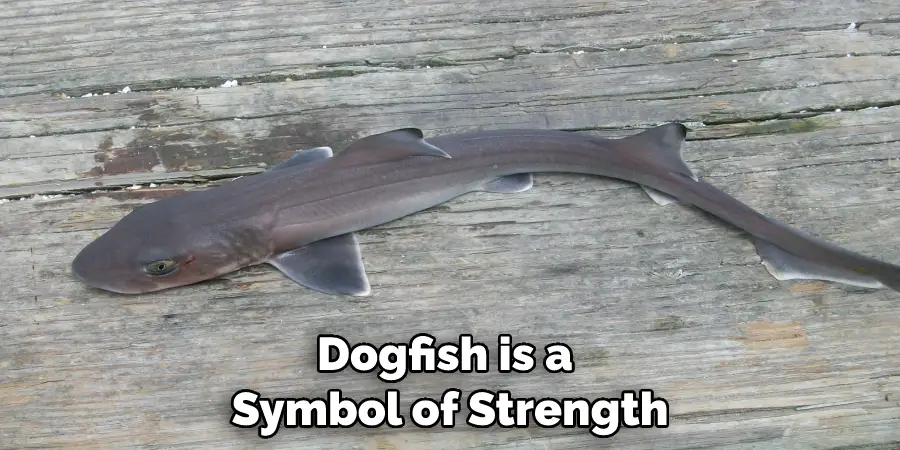 Dogfish is a Symbol of Strength