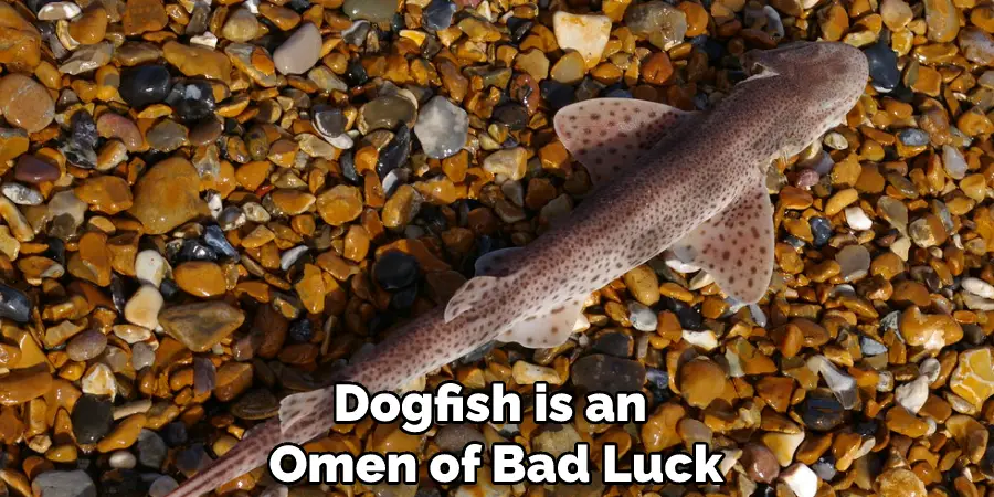 Dogfish is an Omen of Bad Luck