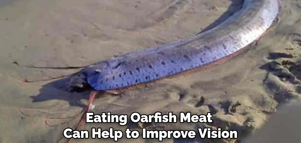 Oarfish Spiritual Meaning, Symbolism and Totem | Explanation