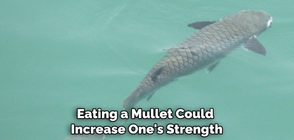Eating a Mullet Could Increase One's Strength