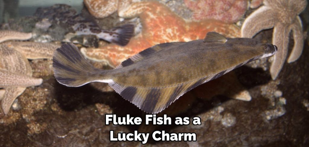 Fluke Fish as a Lucky Charm 