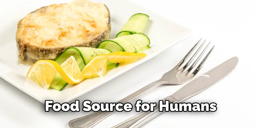  Food Source for Humans