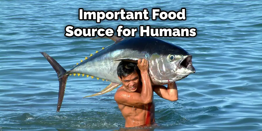 Important Food Source for Humans