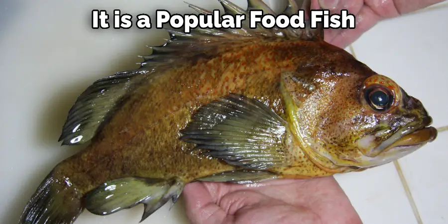 It is a Popular Food Fish