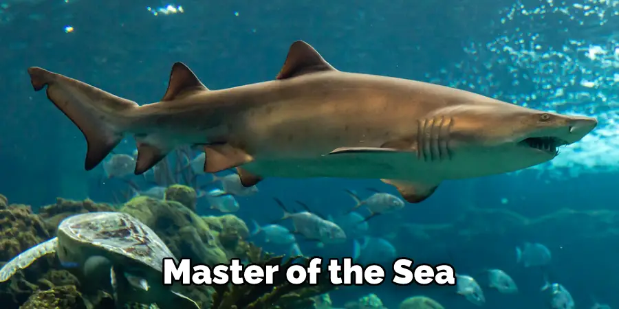 Master of the Sea