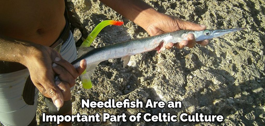 Needlefish Are an Important Part of Celtic Culture