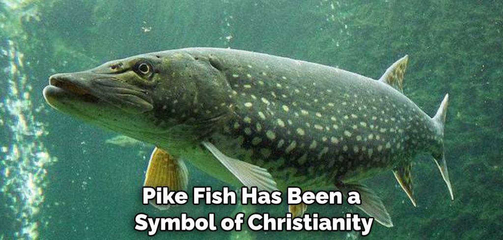 Pike Fish Has Been a Symbol of Christianity